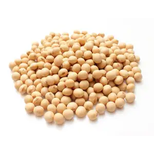Dry Soja Bean
