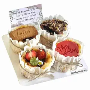 Mini Burnt Basque Cheesecake (Assorted box of 4) - Bakeology