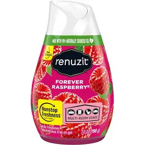 Forever Raspberry Gel Air Freshener - Renuzit