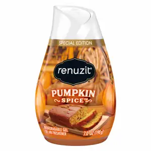 Gel Air Freshener Pumpkin Spice - Renuzit