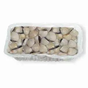 Chilled White Clams 1,2kg - Royal Fine Foods