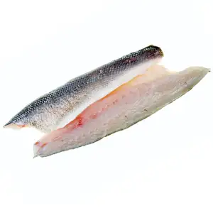 Barramundi Fillet - Royal Fine Foods
