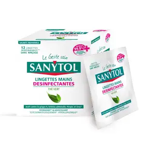 Disinfectant Hand Wipes - Sanytol