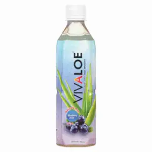 Blueberry Aloe Vera Infusion Drink - Vivaloe