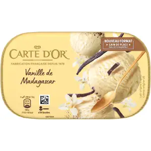 Madagascar Vanilla Ice Cream - Carte d'Or