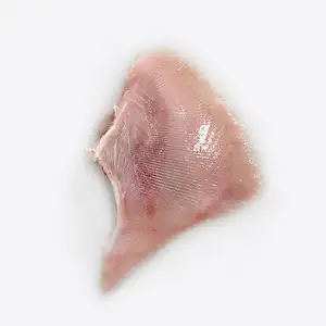 Skate Wings Skinless - Qwehli