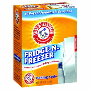 Fridge & Freezer Baking - Arm & Hammer