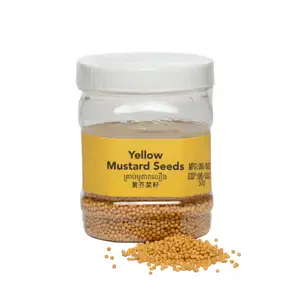 Yellow Mustard Seeds - Kitchen's Gate