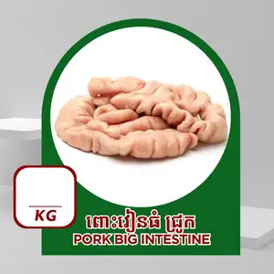 Big Intestine - Ruminant-28 Meat Store