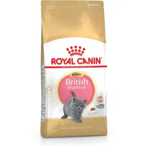 Kitten British Shorthair - Royal Canin