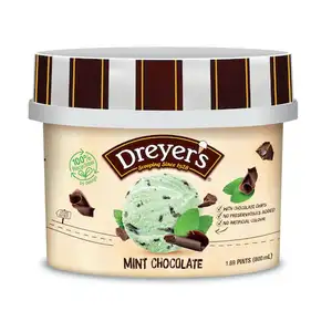 Mint Chocolate  - Dreyers