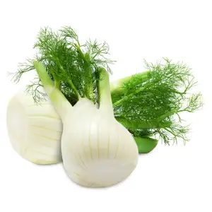Fresh Fennel