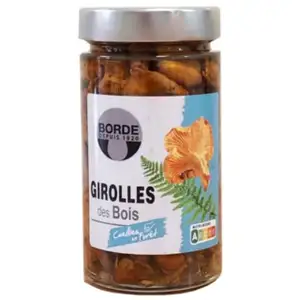 Chantrerelles Mushroom  - Borde