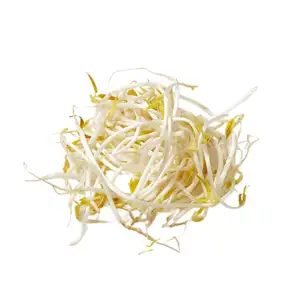 Soybean Sprout