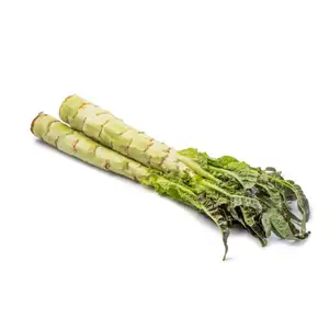 Celtuce