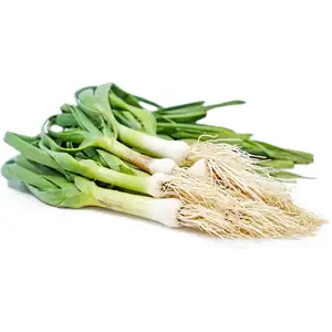Green Garlic