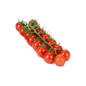 Sweet Red Cherry Tomatoes Vine