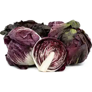 Radicchio
