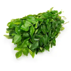Curry Leaf