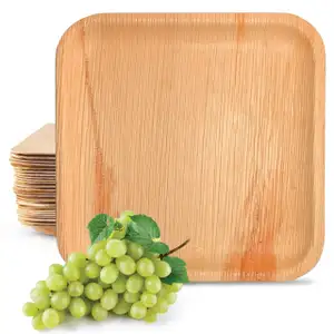 Palm Leaf Square Plates Tableware - BioPatra