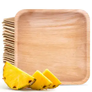 Palm Leaf Square Plates Tableware - BioPatra