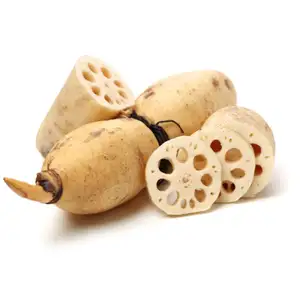 Lotus Root