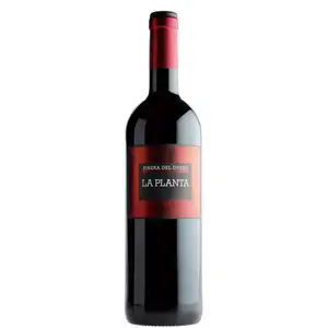 ''La Planta'', Ribera del Duero DO Tempranillo - Arzuaga