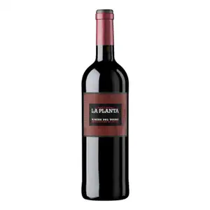 ''La Planta'', Ribera del Duero DO - Arzuaga
