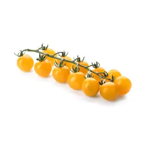 Yellow Sweet Cherry Tomatoes Wine - Delishop Fresh