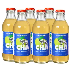 Apple Cinnamon Kombucha Pack of 6 - Kombucha CHA