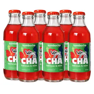 Hibiscus & Mint Kombucha Pack of 6 - Kombucha CHA