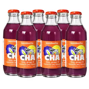 Lime, Ginger, Butterfly Pea Flower Kombucha Pack of 6 - Kombucha CHA