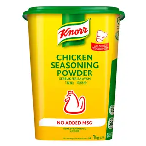Chicken Seasoning Power No Added MSG - Knorr