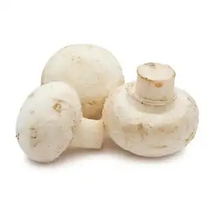 White Button Mushrooms (Grade A) - Happy Sprouts