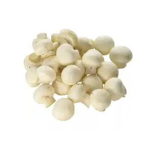 White Button Mushrooms (Mini) - Happy Sprouts