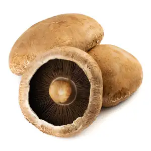 Portobello Mushrooms - Happy Sprouts