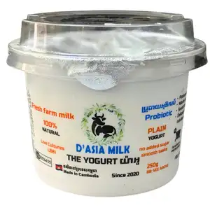 Unsweetened Plain Yogurt - D'Asia Milk