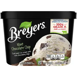 Mint Chocolate Chips Ice Cream - Breyers