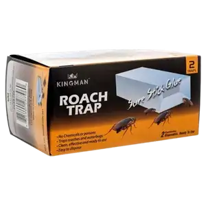 Roach Trap - Kingman