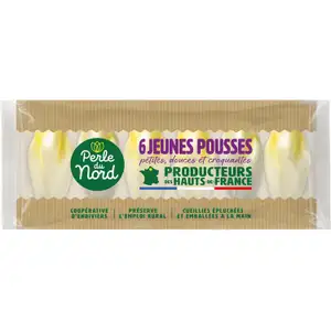 Young Endive Shoots - Perle du Nord