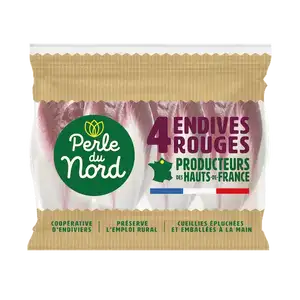 Red Endive - Perle du Nord