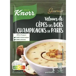 Porcini Mushroom Soup - Knorr
