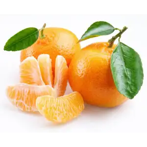 Mandarine - Delishop Fresh