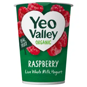 Raspberry Yogurt