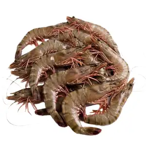 Shrimps - Mao Fishmonger