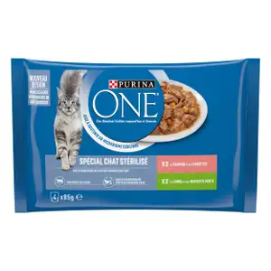 Sterilized Cat Food (Salmon and Turkey) - Purina ONE