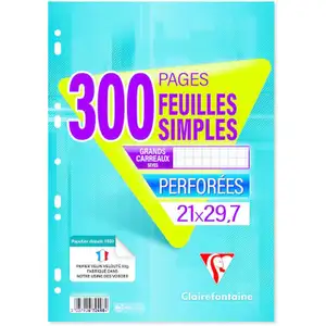 A4 Single Sheet (Large Seyès Squares) - Clairefontaine