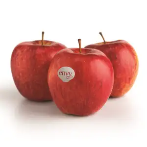 Apple Red Envy - Rithy 1 Supply