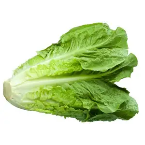 Romain Salad - Delishop Fresh