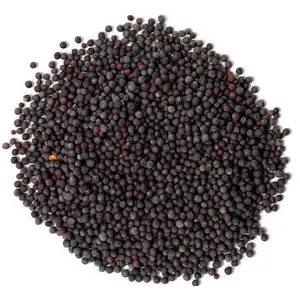 Mustard Black Seeds Cup